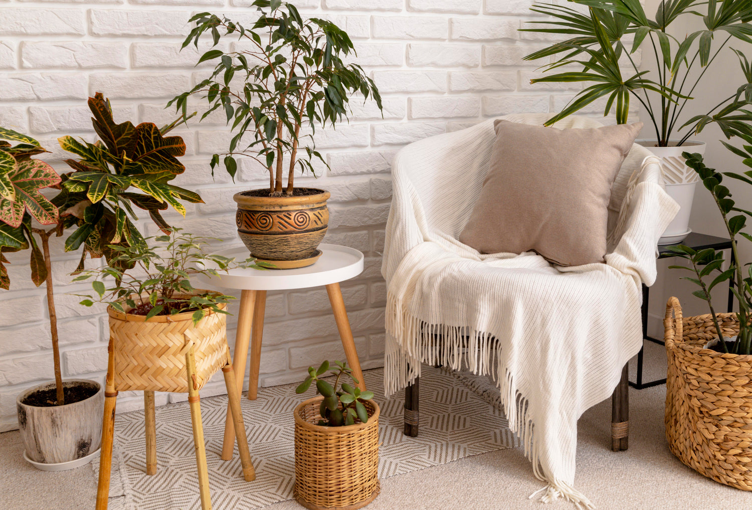 Home Decor